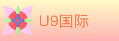 U9国际 Logo